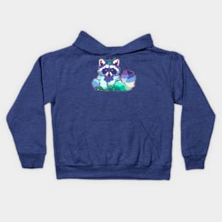 Gay Pride Raccoon Kids Hoodie